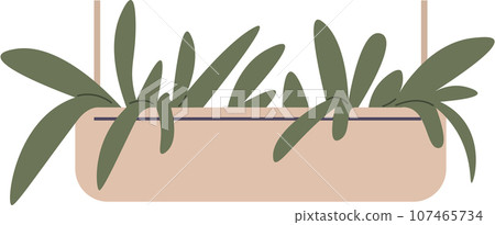 Home or office plant in pot. Vector illustration. Foliage plant in pot for interior. Home plant in flowerpot. Houseplants isolated on white. Trendy green home decor. Houseplant in ceramic container 107465734