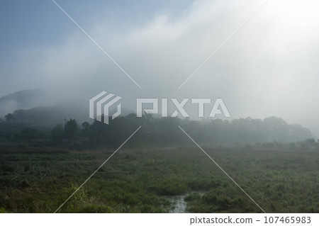 Bicycle path along the Seomjingang River 107465983