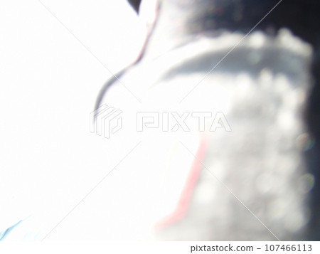 白色背景上帶有黑色和紅色陰影斑點的運動抽象背景 107466113