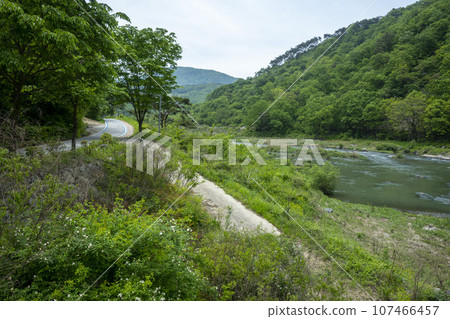 Bicycle path along the Seomjingang River Bicycle path along the Seomjingang River 107466457