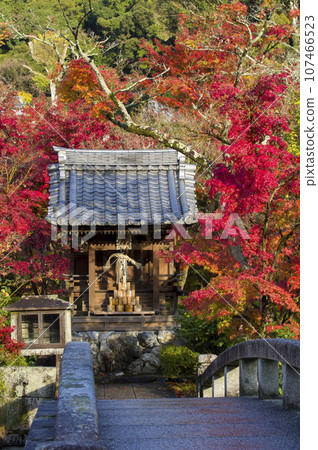 Benzaiten in the red Benzaiten in the red 107466523