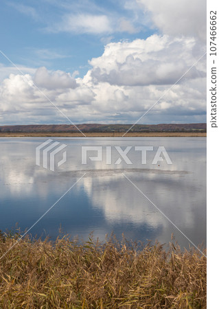 Scenery of Lake Silaltro in Kushiro, Hokkaido Scenery of Lake Silaltro in Kushiro, Hokkaido 107466662