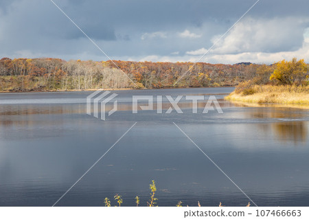 Scenery of Lake Silaltro in Kushiro, Hokkaido Scenery of Lake Silaltro in Kushiro, Hokkaido 107466663