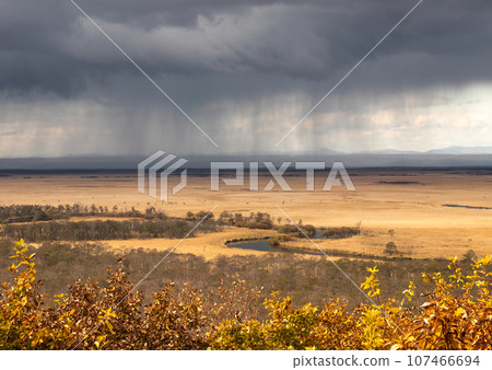 北海道釧路濕原下雨 107466694