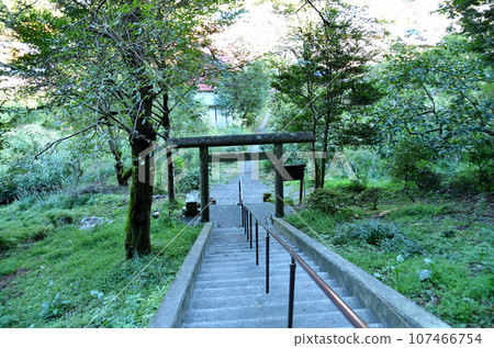 八坂神社是位於埼玉縣飯能市上栗的發電站 107466754