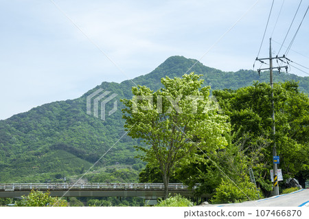 Bicycle path along the Seomjingang River 107466870