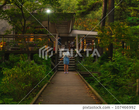 Hitachi Seaside Park Forest Cafe 107466992