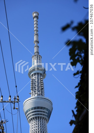 Tokyo Skytree seen from an alley in Narihira, Sumida-ku, Tokyo 107467036