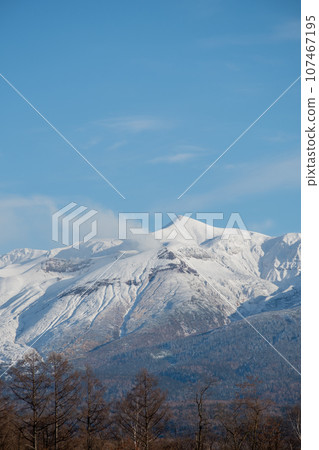 Tokachidake, a forest and snow-capped mountains on a sunny day in late autumn 107467195