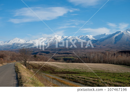 On a sunny day in late autumn, a miscellaneous forest and snow-capped mountain range, the Tokachidake Mountain Range 107467196