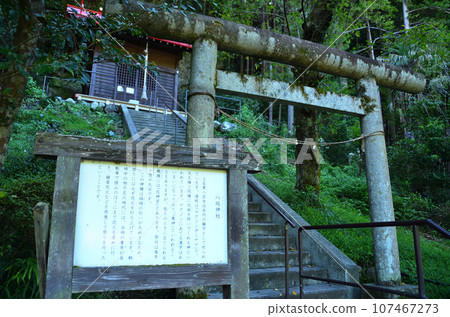Yasaka Shrine, a power spot in Kaminaguri, Hanno City, Saitama Prefecture Yasaka Shrine, a power spot in Kaminaguri, Hanno City, Saitama Prefecture 107467273