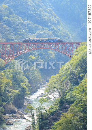 Dolly train "Yusagego" crossing the First Shirakawa Bridge 107467802