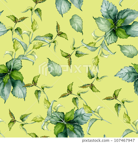 Nettle stem herbal plant watercolor seamless pattern isolated on beige background. Urtica dioica, green leaves, useful herb hand drawn. Design for textile, package, wrapping, fabric, wallpaper 107467947