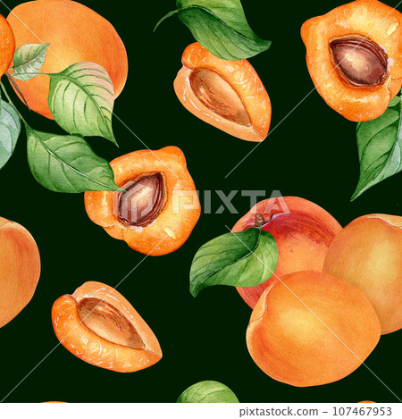 Watercolor whole and segment apricots seamless pattern isolated on black. Orange fruits illustration. Peach, leaves, nectarine hand drawn. Design element for package, wrapping, textile, background Watercolor whole and segment apricots seamless pattern isolated on black. Orange fruits illustration. Peach, leaves, nectarine hand drawn. Design element for package, wrapping, textile, background 107467953