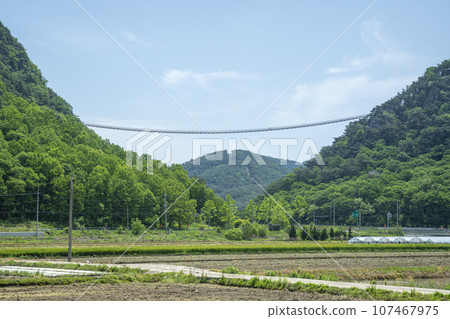 Bicycle path along the Seomjingang River 107467975