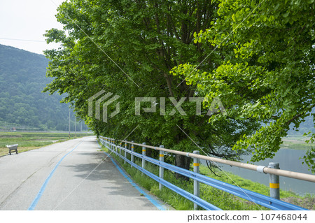 Bicycle path along the Seomjingang River 107468044