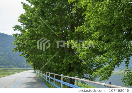 Bicycle path along the Seomjingang River 107468046