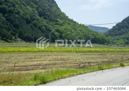 Bicycle path along the Seomjingang River 107468066