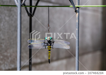 Onyanma 防蚊蠅用品 107468284