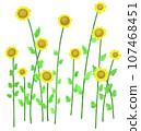 Wilgrass flower 107468451