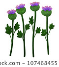 Wilgrass flower 107468455