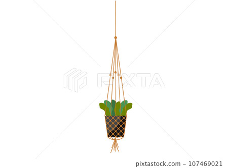 House plant hanging in pot. Potted herb for office or house interior. Small bush with leaves in ceramic container. Houseplant in plastic flowerpot for home decoration. Natural design indoor element House plant hanging in pot. Potted herb for office or house interior. Small bush with leaves in ceramic container. Houseplant in plastic flowerpot for home decoration. Natural design indoor element 107469021