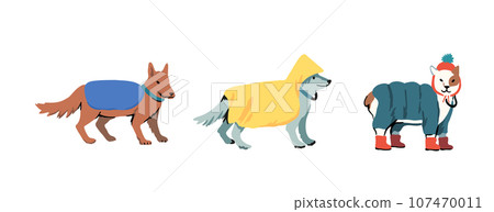 Dogs walks in bad weather. Dog in the fall and winter in the rain on a cold day. Vector illustration Dogs walks in bad weather. Dog in the fall and winter in the rain on a cold day. Vector illustration 107470011