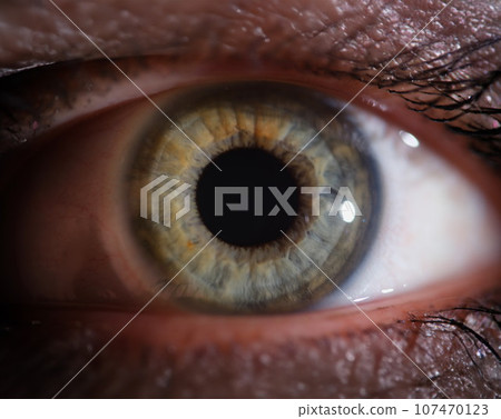 Macro photo of green female beautiful eye closeup Macro photo of green female beautiful eye closeup 107470123