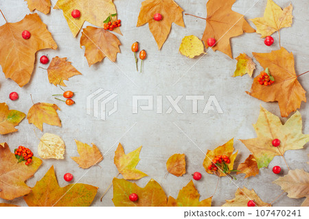 autumn flat lay on concrete background with autumn leaves 107470241