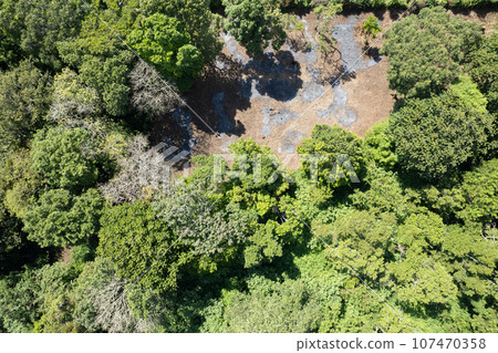 Burn soil in green forest 107470358