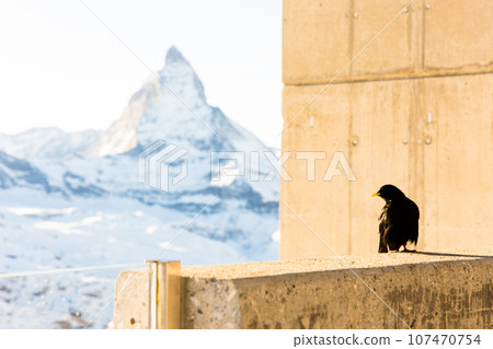 Soup on the background of the Matterhorn mountain. Zermatt, Switzerland Soup on the background of the Matterhorn mountain. Zermatt, Switzerland 107470754