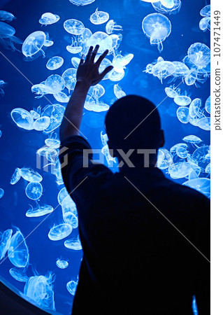 Silhouette of a young person looking at a smack of jellyfish swimmin 107471449