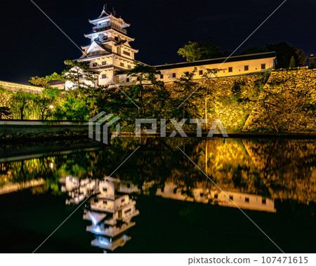 [Ehime Prefecture] Imabari Castle illuminated 107471615