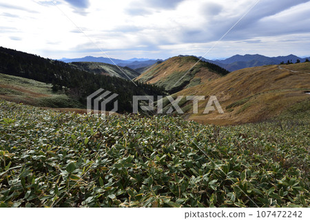 新潟縣牧木山登山 107472242