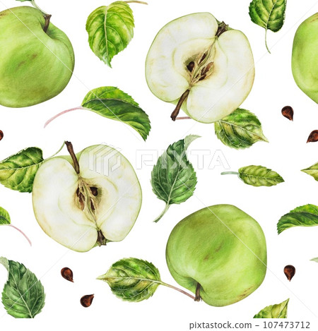 Apple seamless pattern. Watercolor botanical illustration of green Fruit. Hand drawn food on isolated white background. Ornament for design of fabric and paper. Drawing of plants for kitchen textiles 107473712