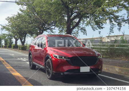 駕駛 乘用車 SUV 多功能車 道路駕駛 駕駛 乘用車 SUV 多功能車 道路駕駛 107474156