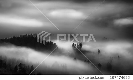 A view of the foggy landscape A view of the foggy landscape 107474633