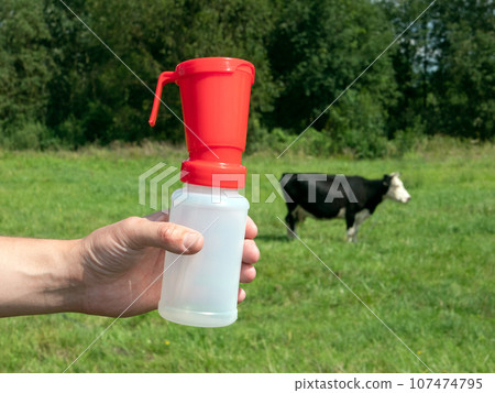 Plastic teat dip cup for udder cow disinfection in the hand of man and a cow grazing in the field on the background Plastic teat dip cup for udder cow disinfection in the hand of man and a cow grazing in the field on the background 107474795