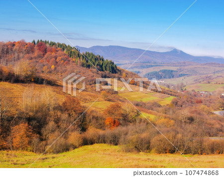 mountainous countryside in fall season. empty grassy meadows and colorful trees on the hill on a sunny autumn day. ridge with high peak in the distance mountainous countryside in fall season. empty grassy meadows and colorful trees on the hill on a sunny autumn day. ridge with high peak in the distance 107474868