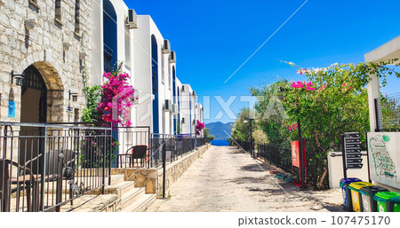 Beautiful view of old traditional houses and idyllic alleyway. Architecture and landmarks in Turkiye 107475170