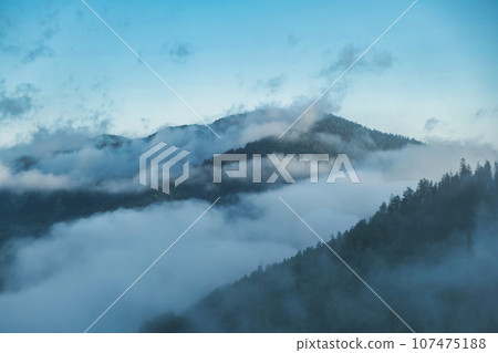 Mist over the mountains. Mountain forest landscape in the morning, Ukraine 107475188