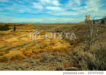 United States Autumn Grand Teton National Park Teton Mountains Meadow grass foliage United States Autumn Grand Teton National Park Teton Mountains Meadow grass foliage 107475430