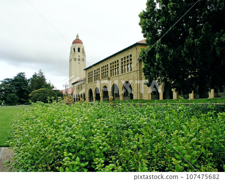美國加州史丹佛大學校園場景胡佛塔 107475682