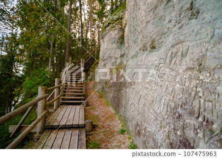 Sand cliff Sietiniezis on the bank of the Gauja river. Gauja National Park, Latvia. 107475963