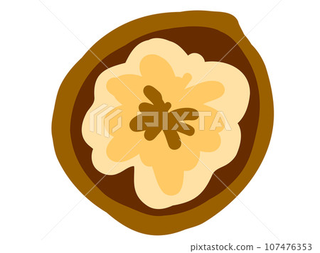 可愛的帶殼核桃/手繪插畫素材 可愛的帶殼核桃/手繪插畫素材 107476353