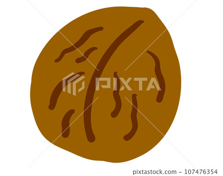 可愛的帶殼核桃/手繪插畫素材 可愛的帶殼核桃/手繪插畫素材 107476354