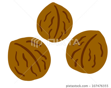 一組可愛的貝殼核桃/手繪插圖 一組可愛的貝殼核桃/手繪插圖 107476355