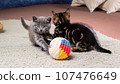 Two tabby kittens sleeping among balls of yarn. 107476649