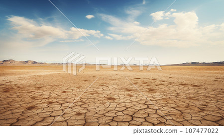 空曠的沙漠旱地 107477022