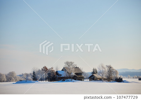 Winter sky Winter sky 107477729